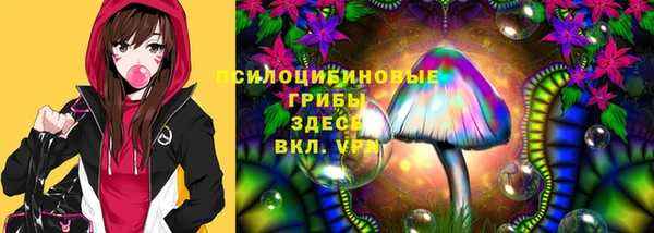 прущая мука Алексин
