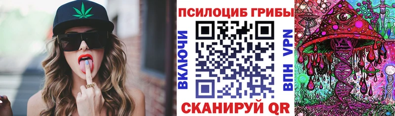Псилоцибиновые грибы Cubensis Красноярск